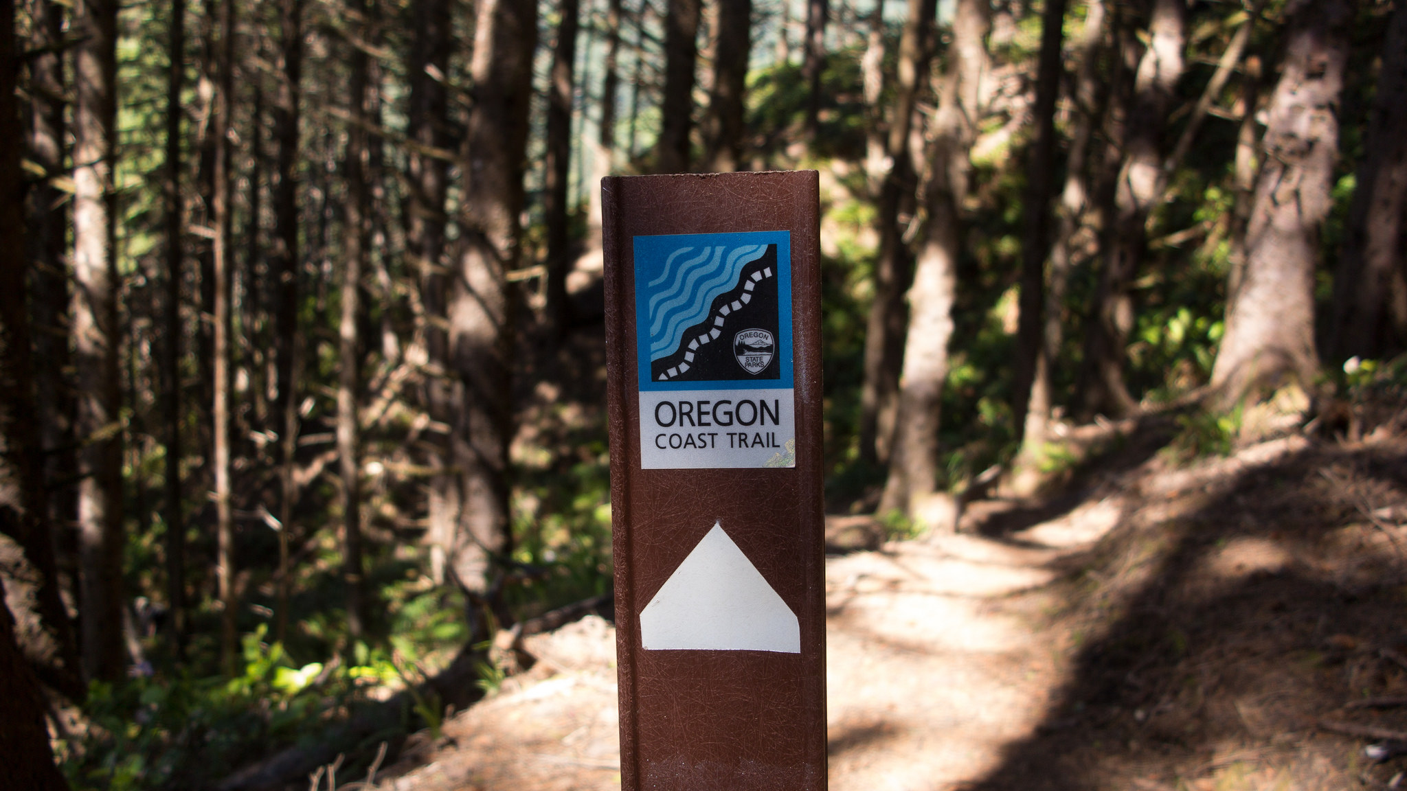 Oregon Coast Trail. Author: Dave Riggs - CC BY-SA 2.0