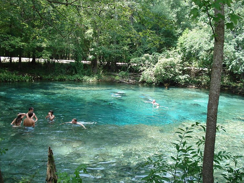 Swimmers in Ginnie Springs – Author: MGA73bot2 – CC BY-SA 4.0
