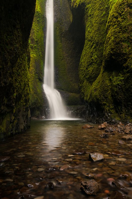 Oneonta Gorge, view towards the falls