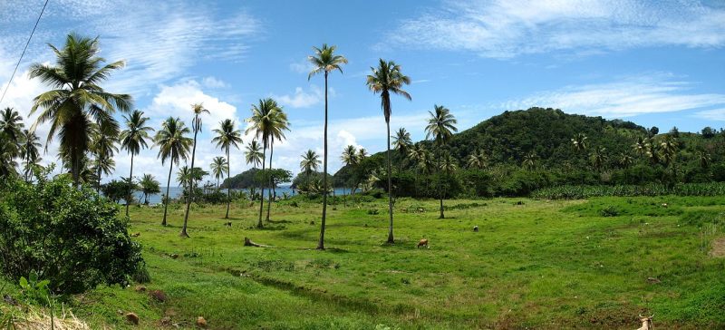 Dominica Panorama – Author: Dirk.heldmaier – CC BY-SA 3.0