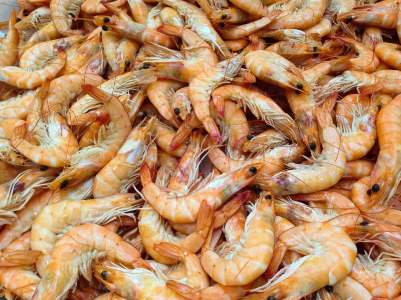 Climate change is adversely affecting Shrimp numbers, and halting shrimp fishing will hopefully help the numbers to recover. Just a few years back, shrimp fishing was taking out millions of pounds of shrimp from the seas, and if this continued without a check, it would leave the oceans empty of shrimp very quickly.