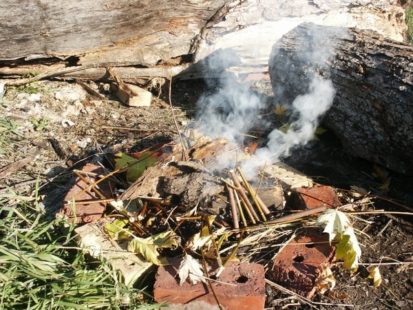 Lighting some green twigs will create a smoke screen that will deter mosquitoes.