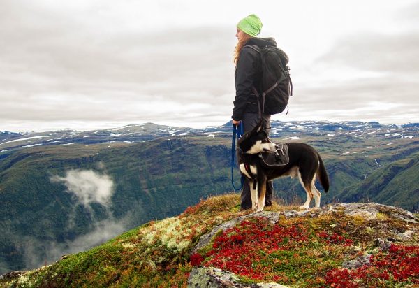 Where you go, your dog goes too. Taking your dog as you train for hikes will prepare your dog for what lies ahead on your hiking adventure.