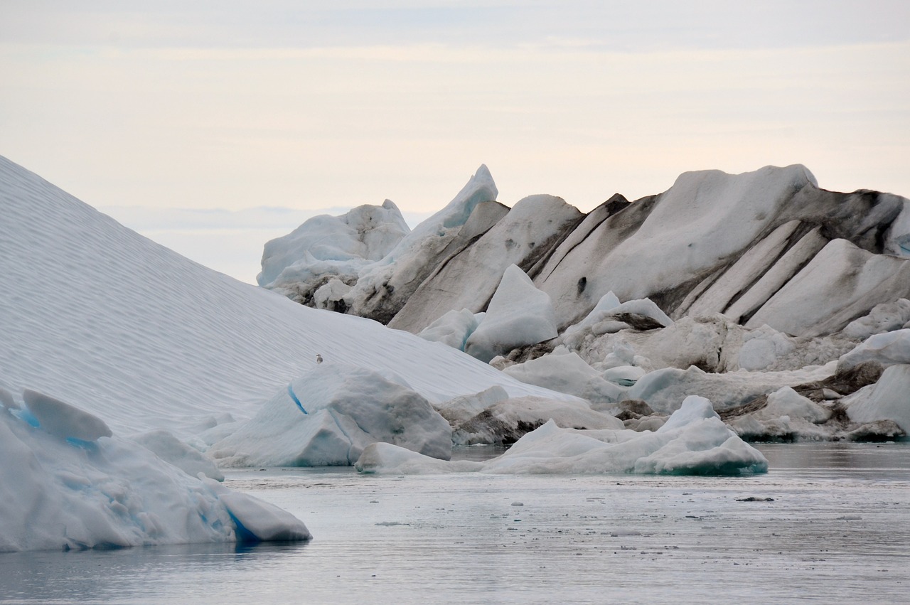 Take in the wonderful land of ice and icebergs