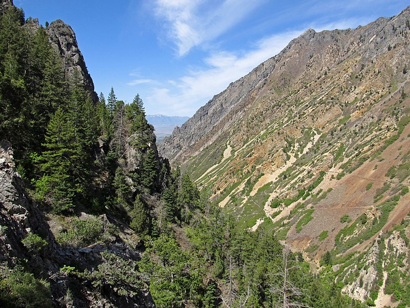 American Fork Canyon from Timpanogos Cave entrance – Author: Ken Lund – CC BY-SA 2.0