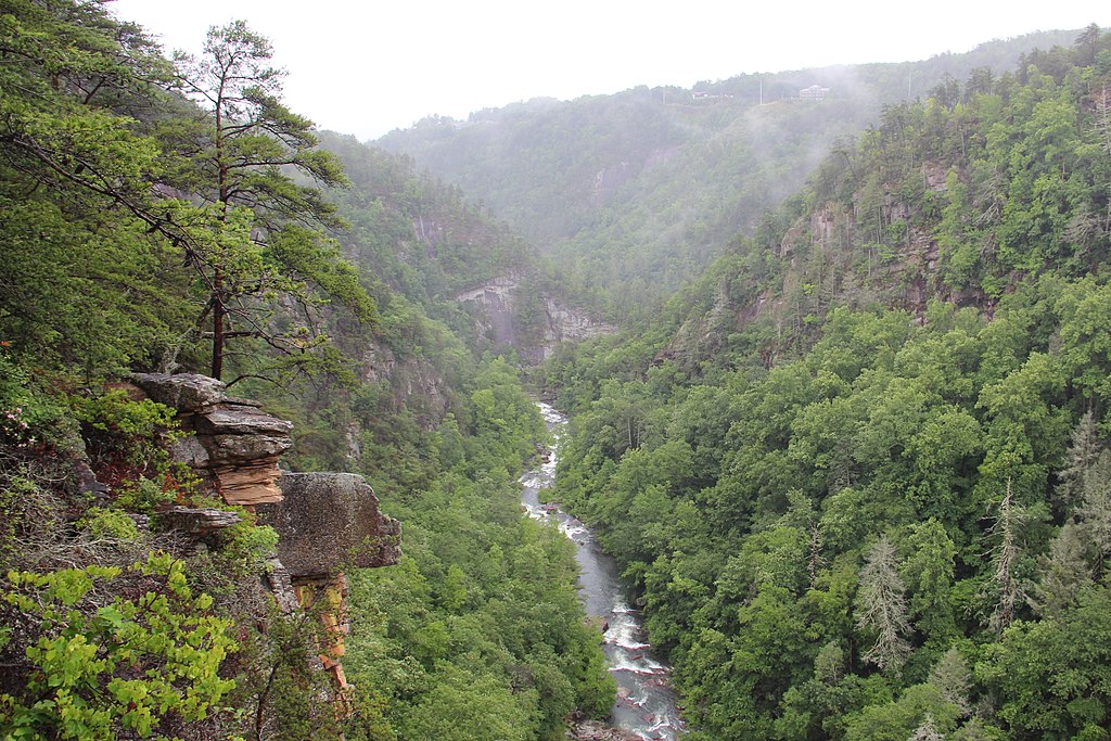 Tallulah Gorge as seen from an overlook – Author: Thomson200 – CC0