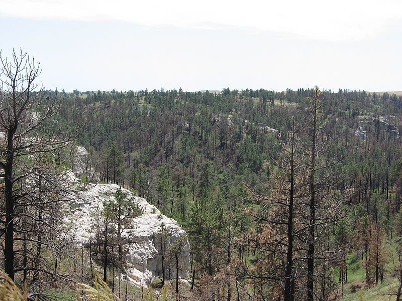 The Pine Ridge region has forested hills – Author: Spencer – CC BY-SA 2.5
