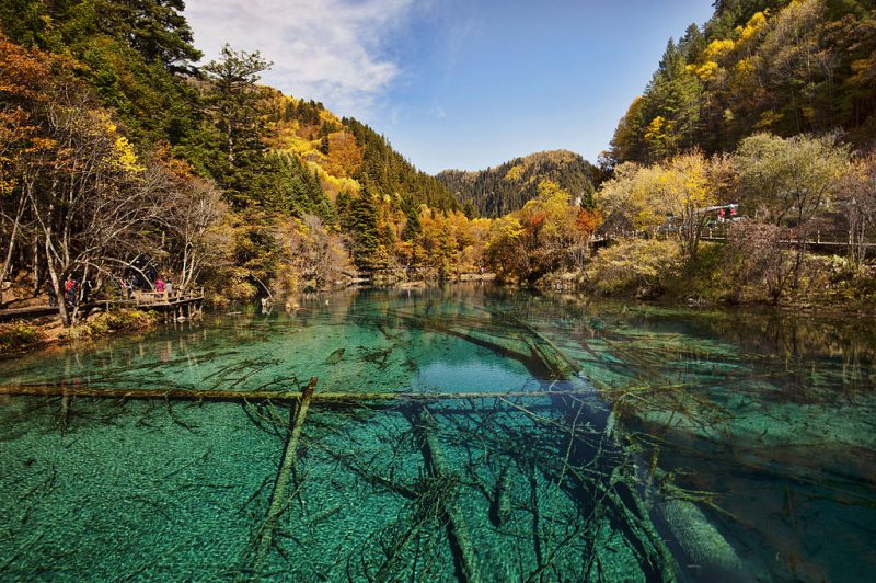 Five Flower Lake has a bottom that is crisscrossed by ancient fallen tree trunks – Author: Chensiyuan
