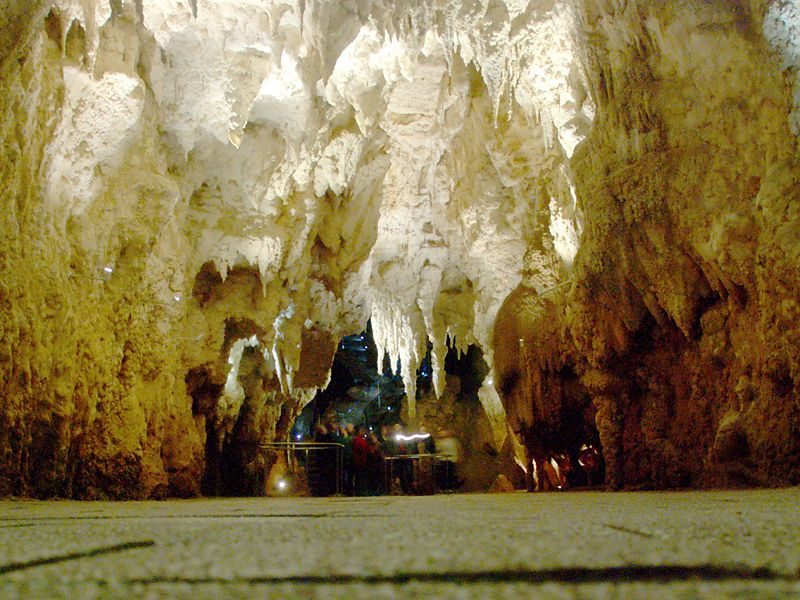 The Cathedral in the Waitomo Glowworm Caves – Author: Karora