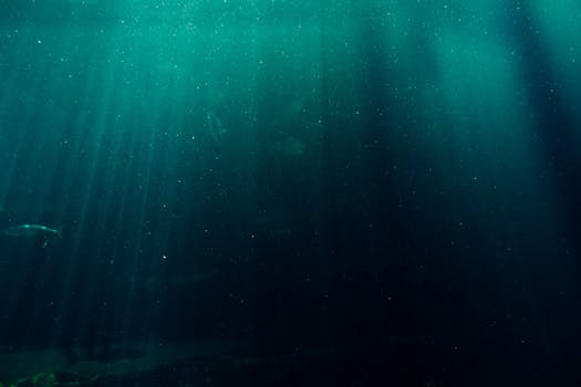 The depth of the ocean