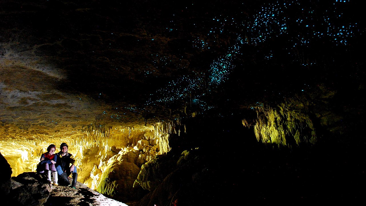 Glow worms in the Waitomo Caves - Author: Donnie Ray Jones - 
CC BY 2.0