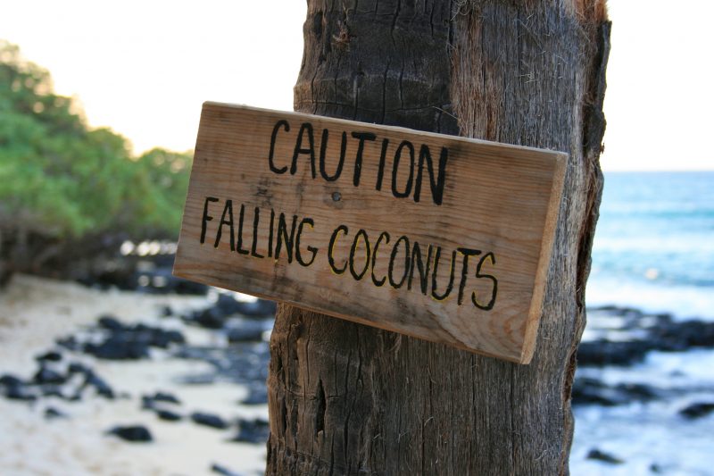 There is a common statistic on the web that falling coconuts kill 150 people per year