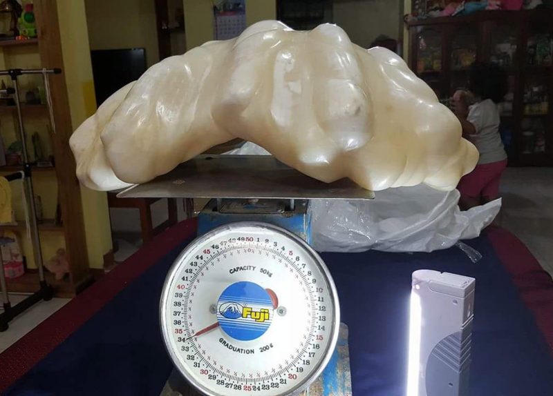 The 12-inch by 26-inch pearl – Author: PUERTO PRINCESA TOURISM OFFICE/H – EPA