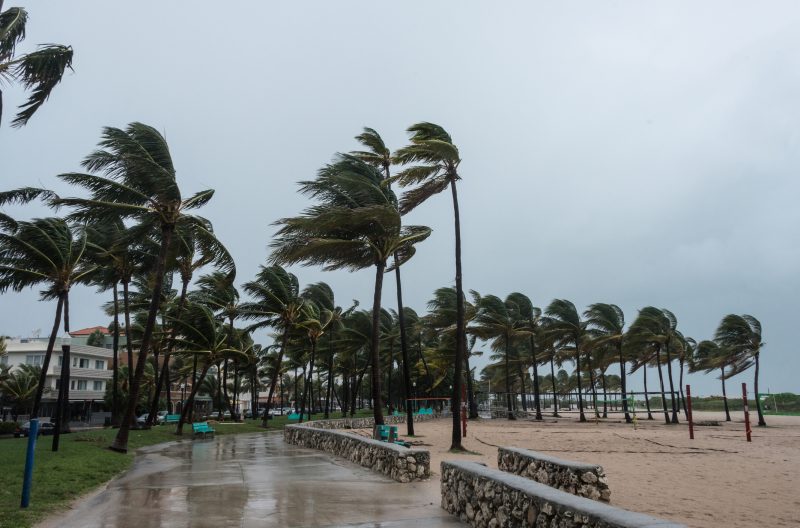 A beach before the storm. High winds can rip trees out of the ground and even flatten buildings.