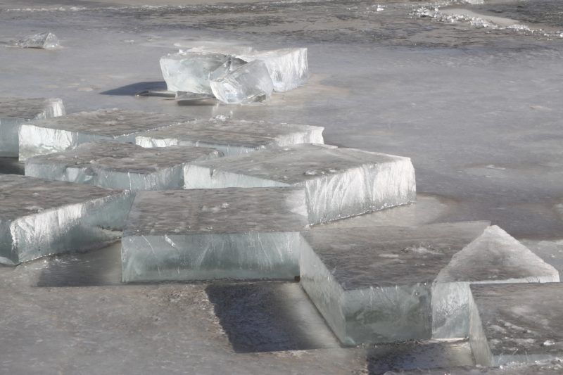 Cutting ice from rivers and lakes in the winter can be the start to making your own refrigeration system in the wild.