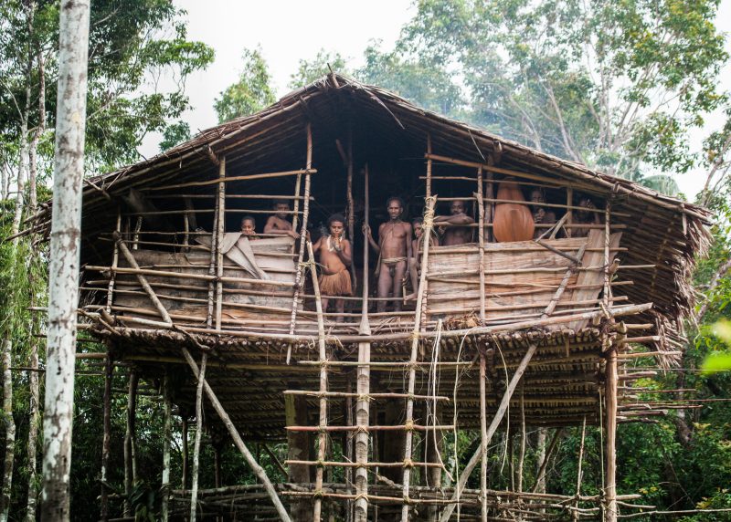 A traditional Korowai house is a technological marvel when you consider what it’s made from!