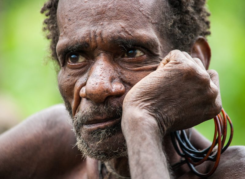 This beautiful portrait of a man from the Korowai tribe gives us a close look at one of these fascinating people.