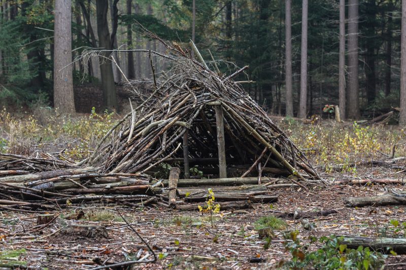 A basic survival shelter can be made out of branches.