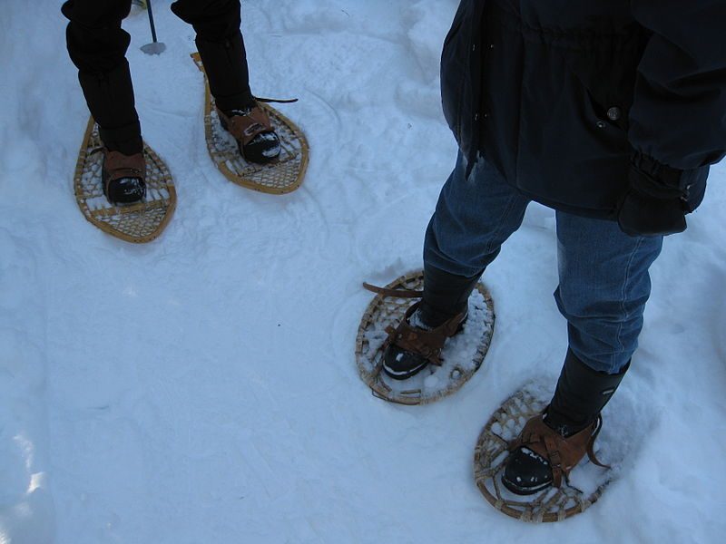 Teardrop showshoes and Bearpaw snowshoes are two examples of the variety of designs for this useful footwear – Author: Burtonpe – CC BY-SA 3.0