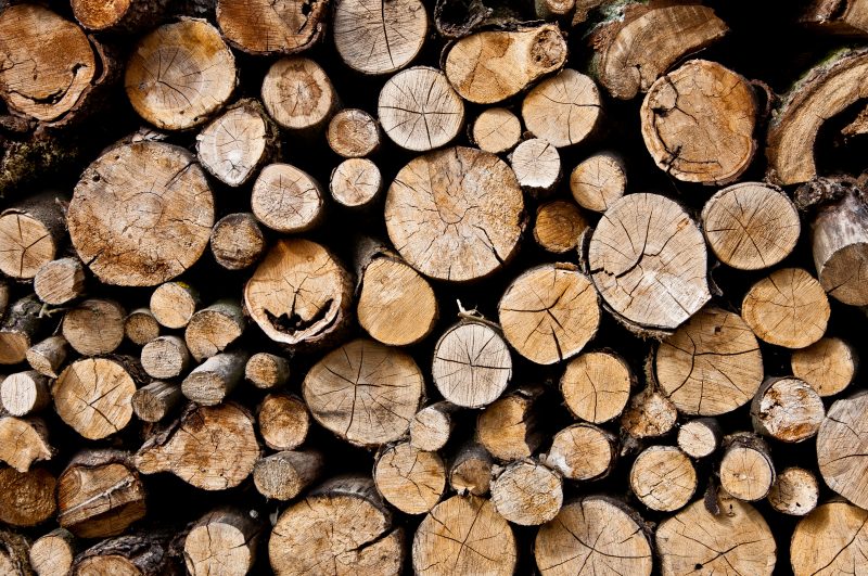 Firewood is going to become a very valuable commodity.