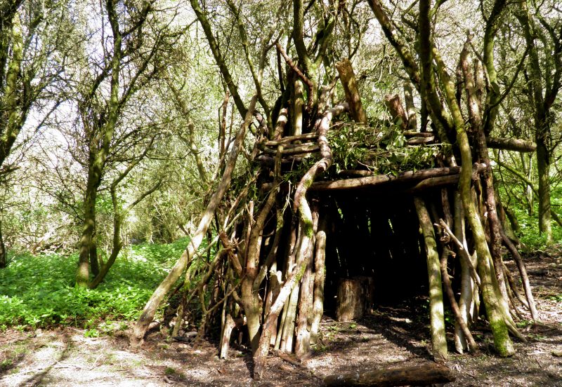 Survival shelters can be made with sticks