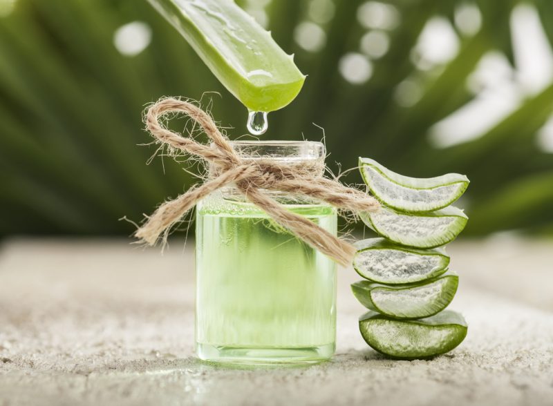 Look around you, and if you find aloe vera, you are definitely in luck. This can be used as an anti-inflammatory and also to reduce pain and swelling