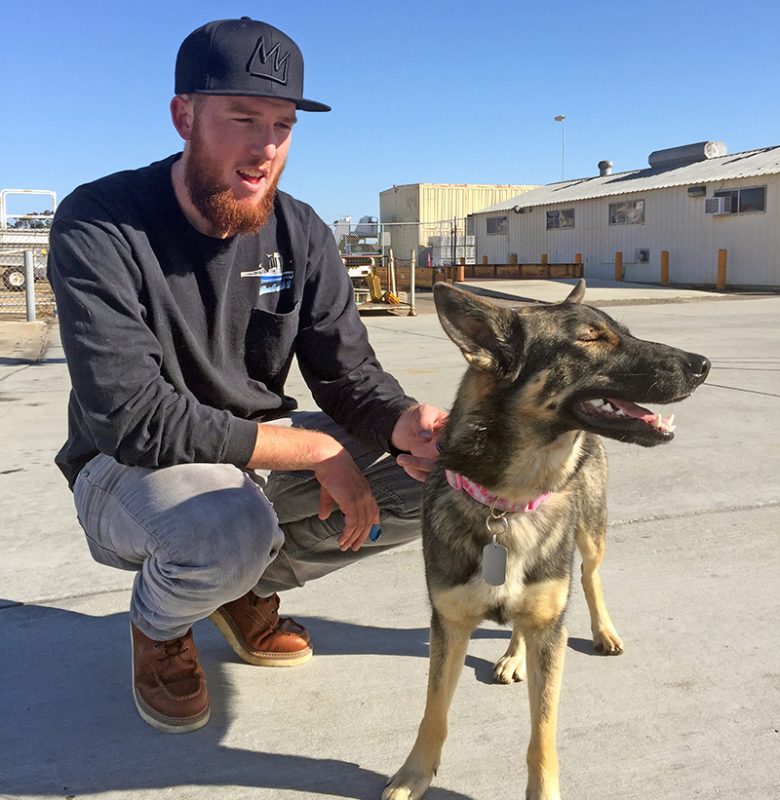 In this photo provided by the Navy, Conner Lamb squats next to Nick Haworth’s 1 1/2-year-old German shepherd Luna – Credit: (Hayne Palmour IV / AP) (U.S. Navy via AP) MANDATORY CREDIT