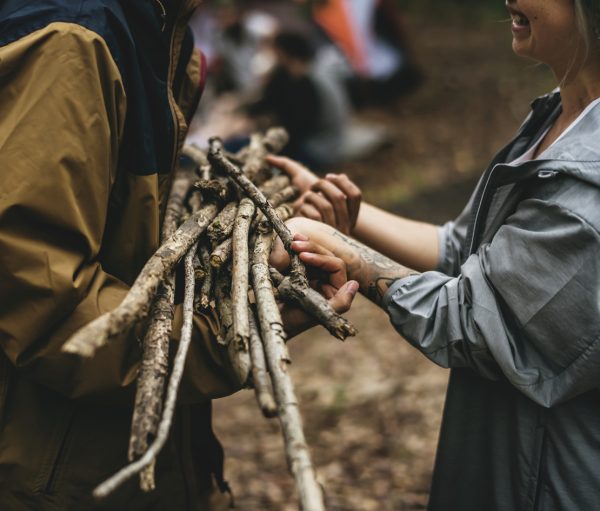 Collect kindling and smaller sticks before moving onto larger logs