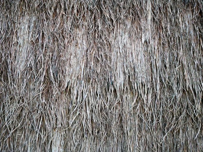 Thatched Roof