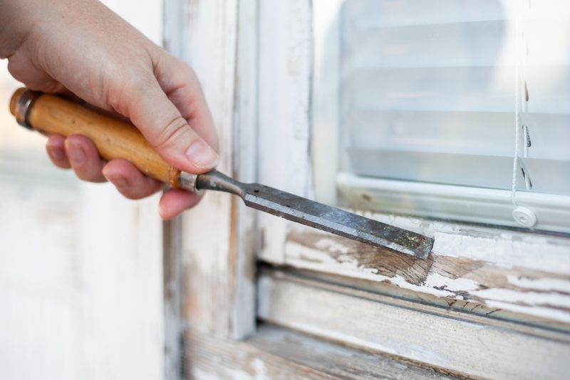 Wood scraper