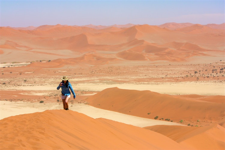Surviving In The Desert: Top Tips