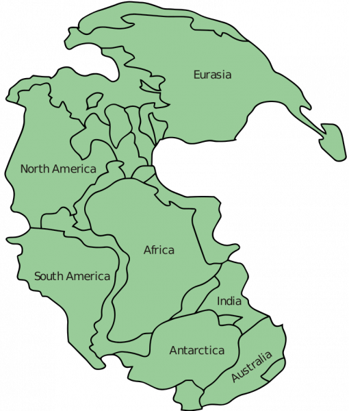  Pangaea