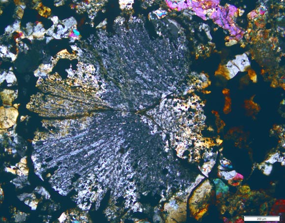 Radial pyroxene chondrule formed in the Maryborough meteorite. Image credit: Museums Victoria.