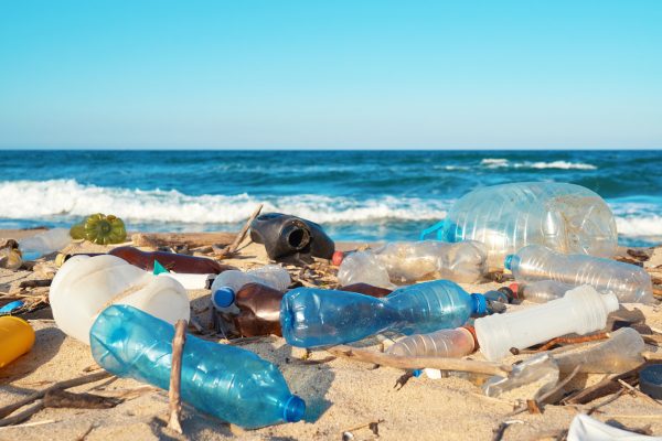 Of the bottles that washed ashore during the beach patrols and had legible production dates, 90 percent were made in the previous two years