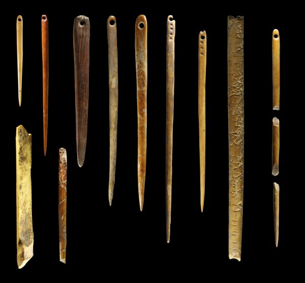 Walrus ivory needles found at the Yana Rhinoceros Horn archaeological site in Siberia. Photograph: British Museum