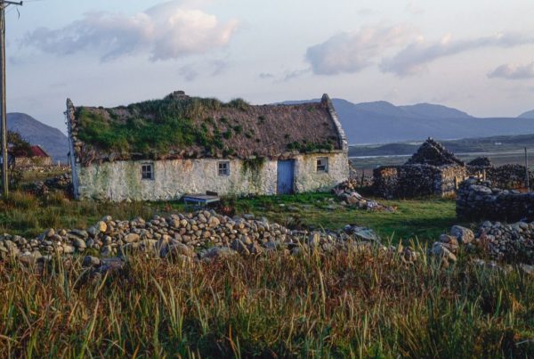 Experts had previously thought the Irish population grew healthily up until the Great Famine of the 1840s