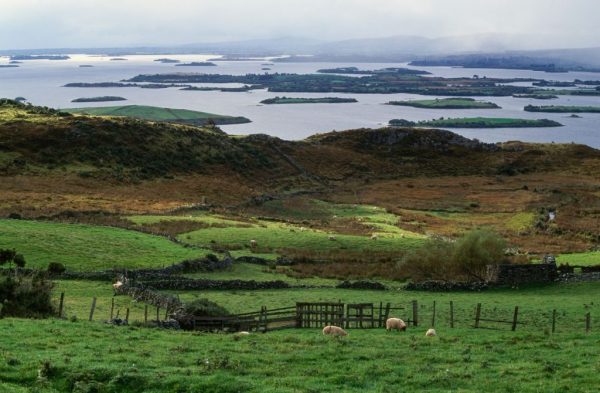 The “Celtic Tiger years” from 1993 to 2001 when the Irish economy was booming and construction was at an all-time high