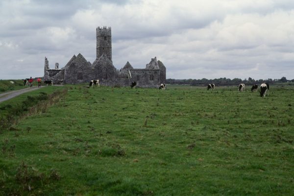 “Around the year 700, this population in Ireland mysteriously entered a decline, perhaps because of war, famine, plague or political unrest