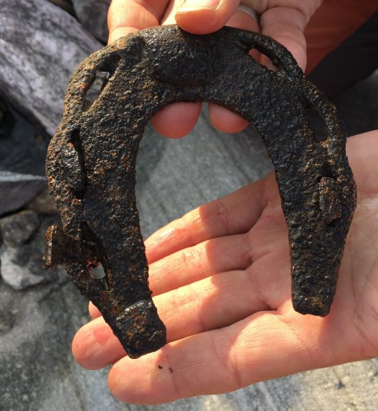 Horseshoe: A beautifully preserved horseshoe which melted out of the ice in the lower part of Lendbreen in 2018. The shape dates it to the 11th to the mid-13th Century AD. A small part of the hoof was still attached to the other side of the shoe. Photo: Espen Finstad, secretsoftheice.com.