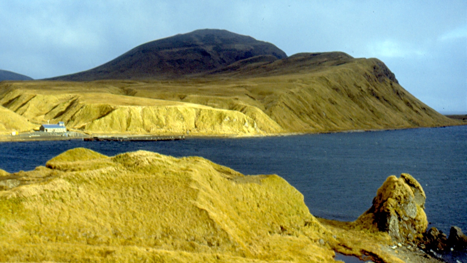 Adak Island The Handful of Trees That Make Up The Smallest US