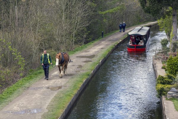 Horse-Drawn Barge working its magic.