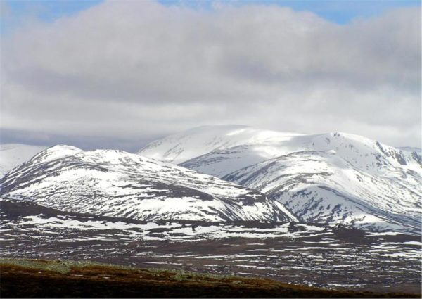 View of Ben Macdui