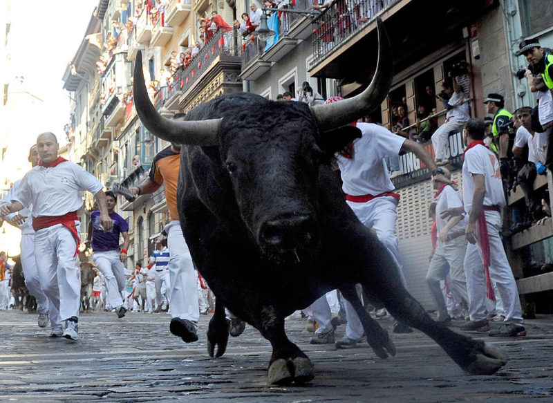 The Running of the Bulls in Pamplona, Spain draws thousands of participants each year. 