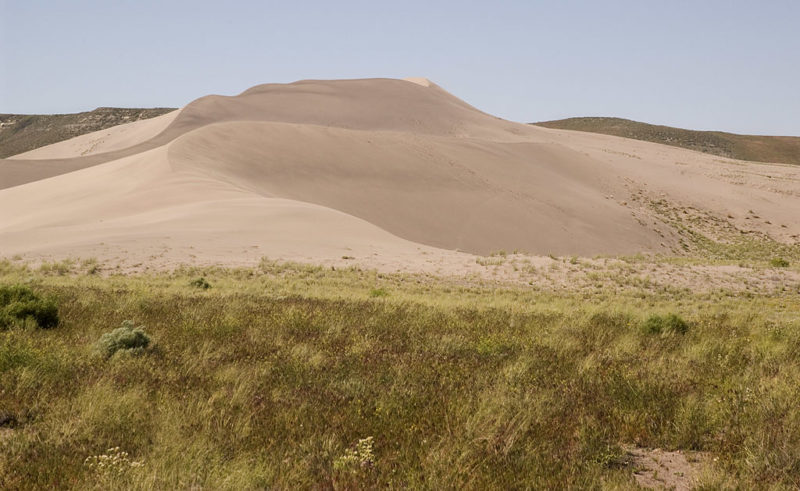 The dunes at Bruneau Dunes State Park are the largest in North America