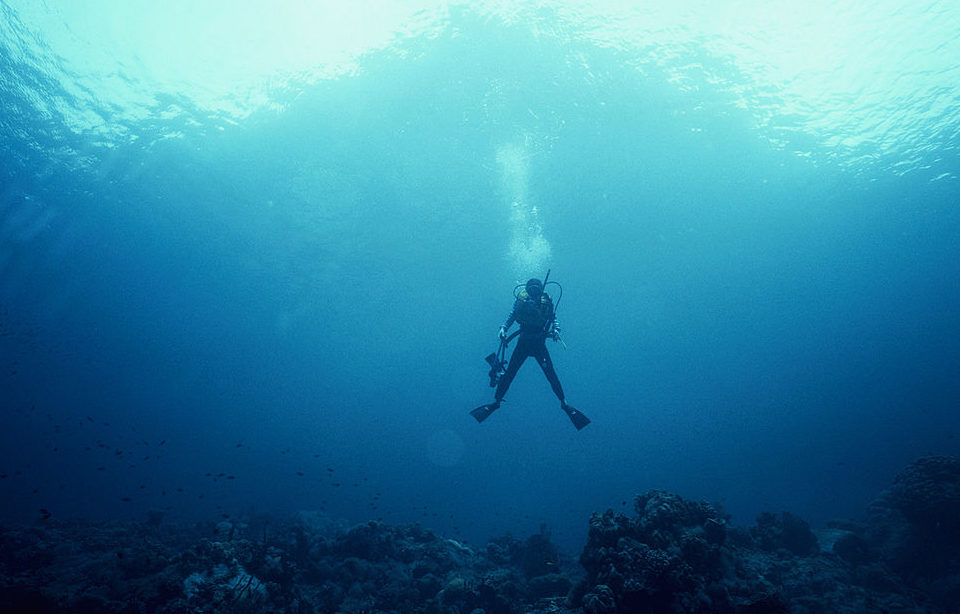 Diver in the middle of the ocean