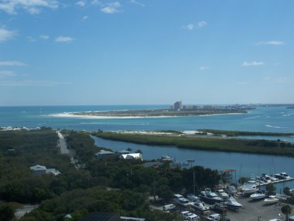 New Smyrna Beach in Florida has been dubbed the shark attack capital of the world 