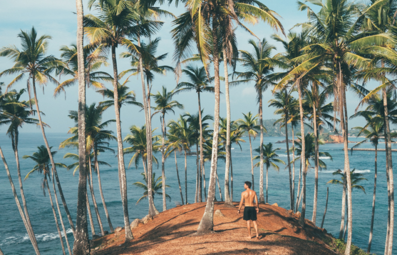 Man standing among palm trees