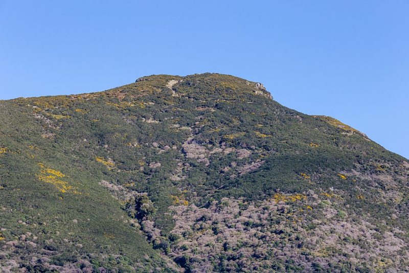 View up Stony Bay Peak