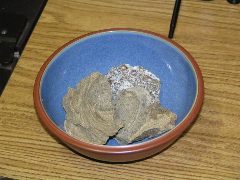 Ceramic bowl filled with ambergris