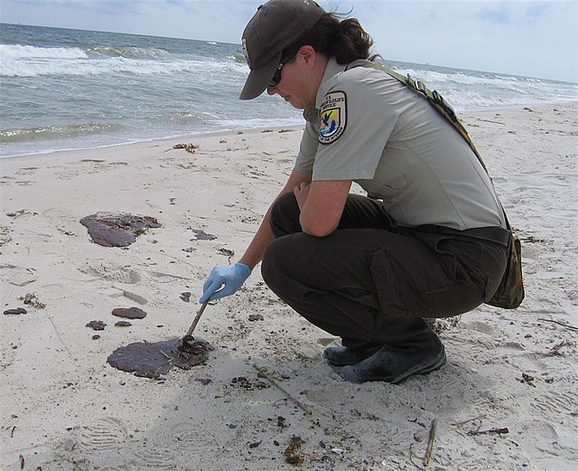 Fish and Wildlife Officer poking a puddle of tar with a stick